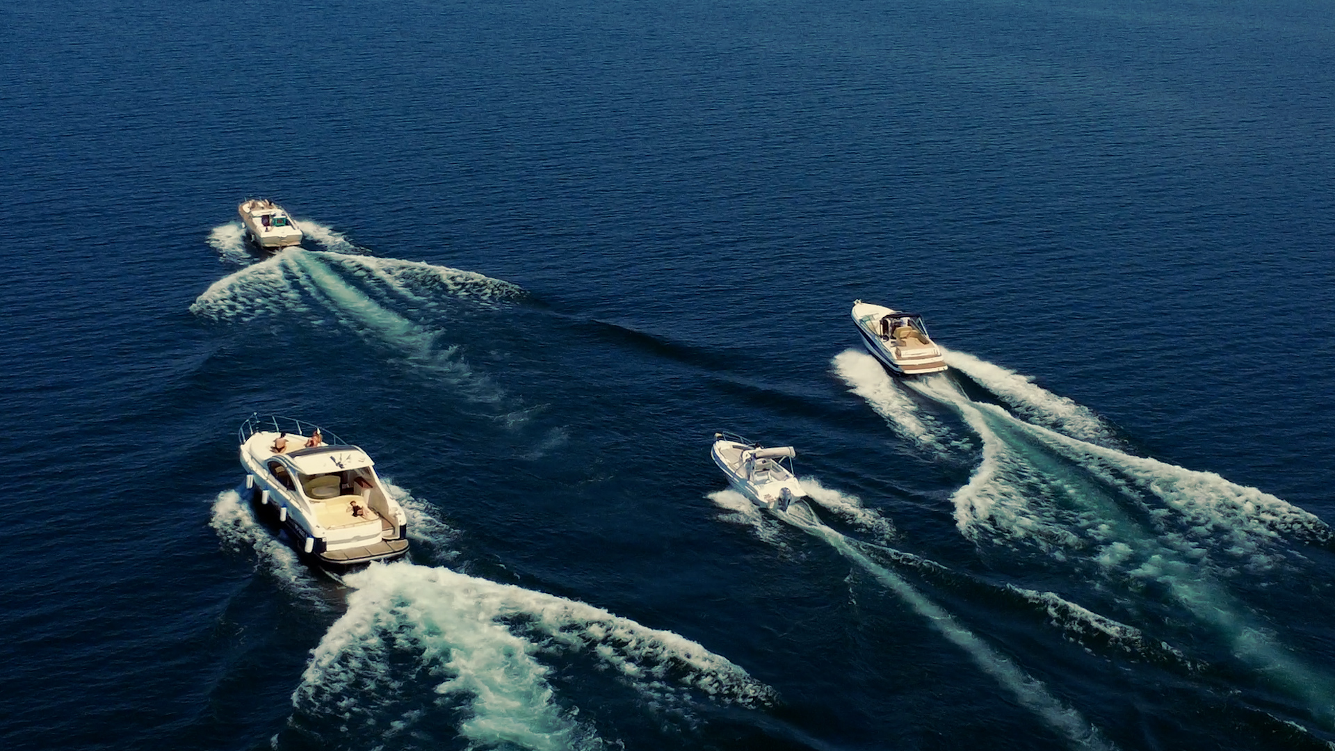 Flotta Maggiore Boat Experience, noleggio barche Lago Maggiore da Castelletto Ticino